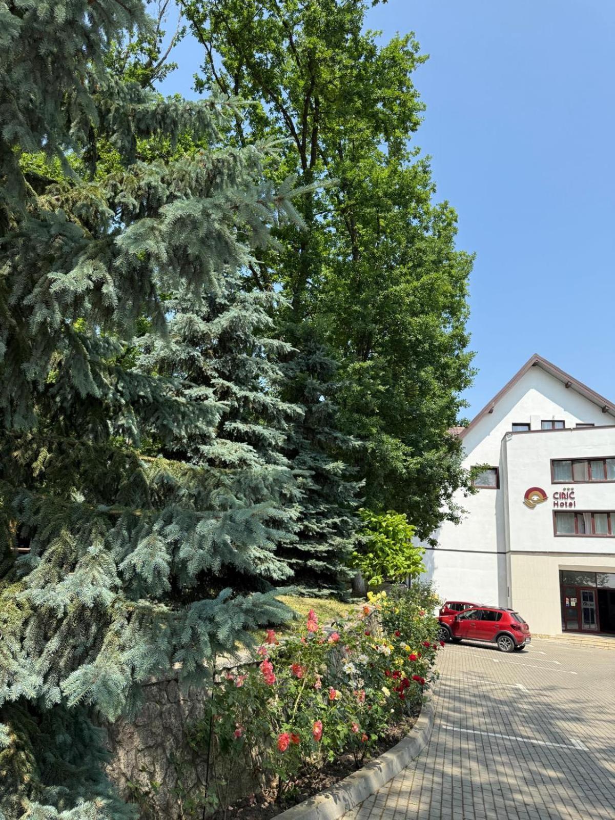 Hotel Ciric 3*