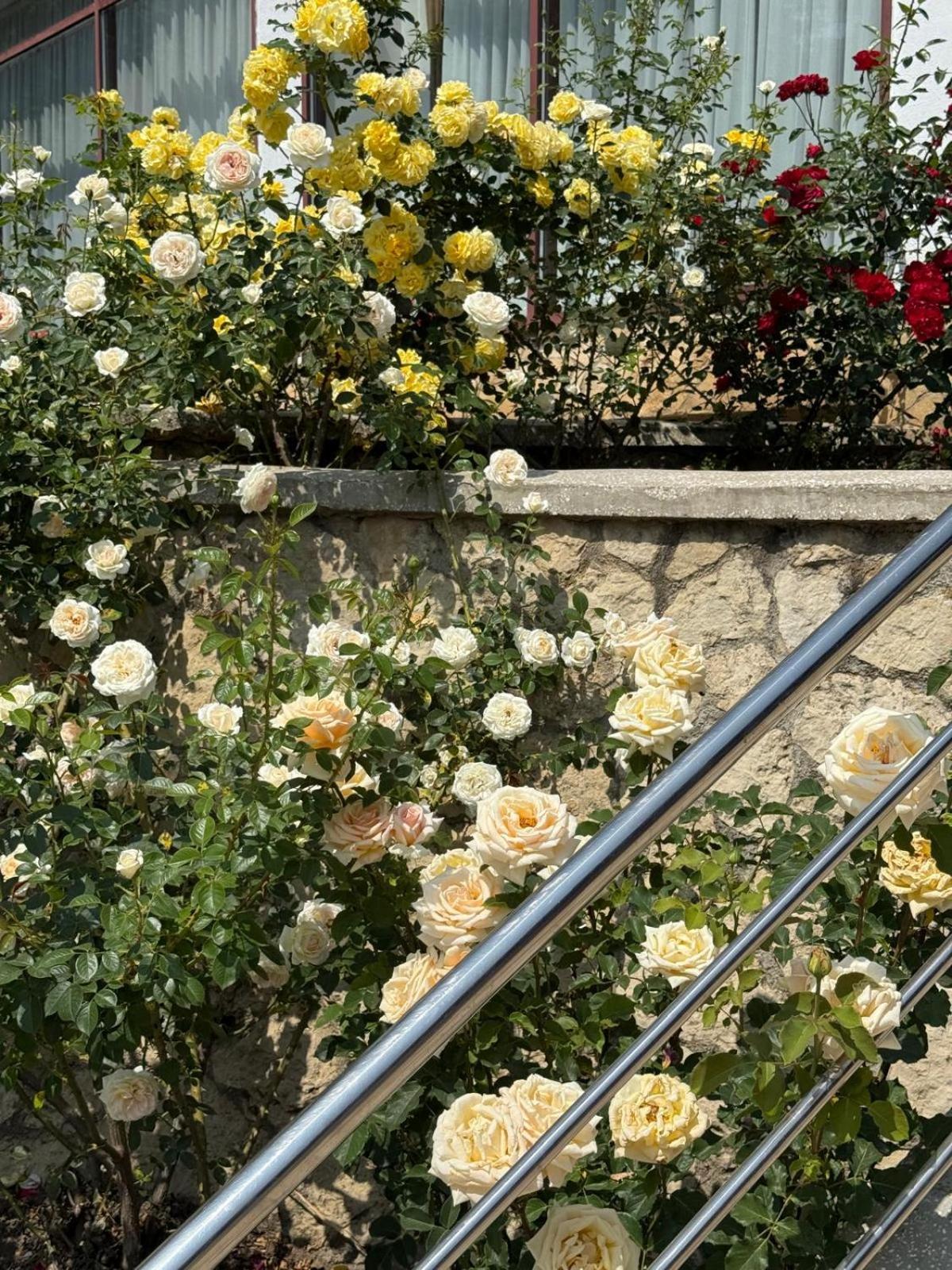 Ciric Hotel Iasi