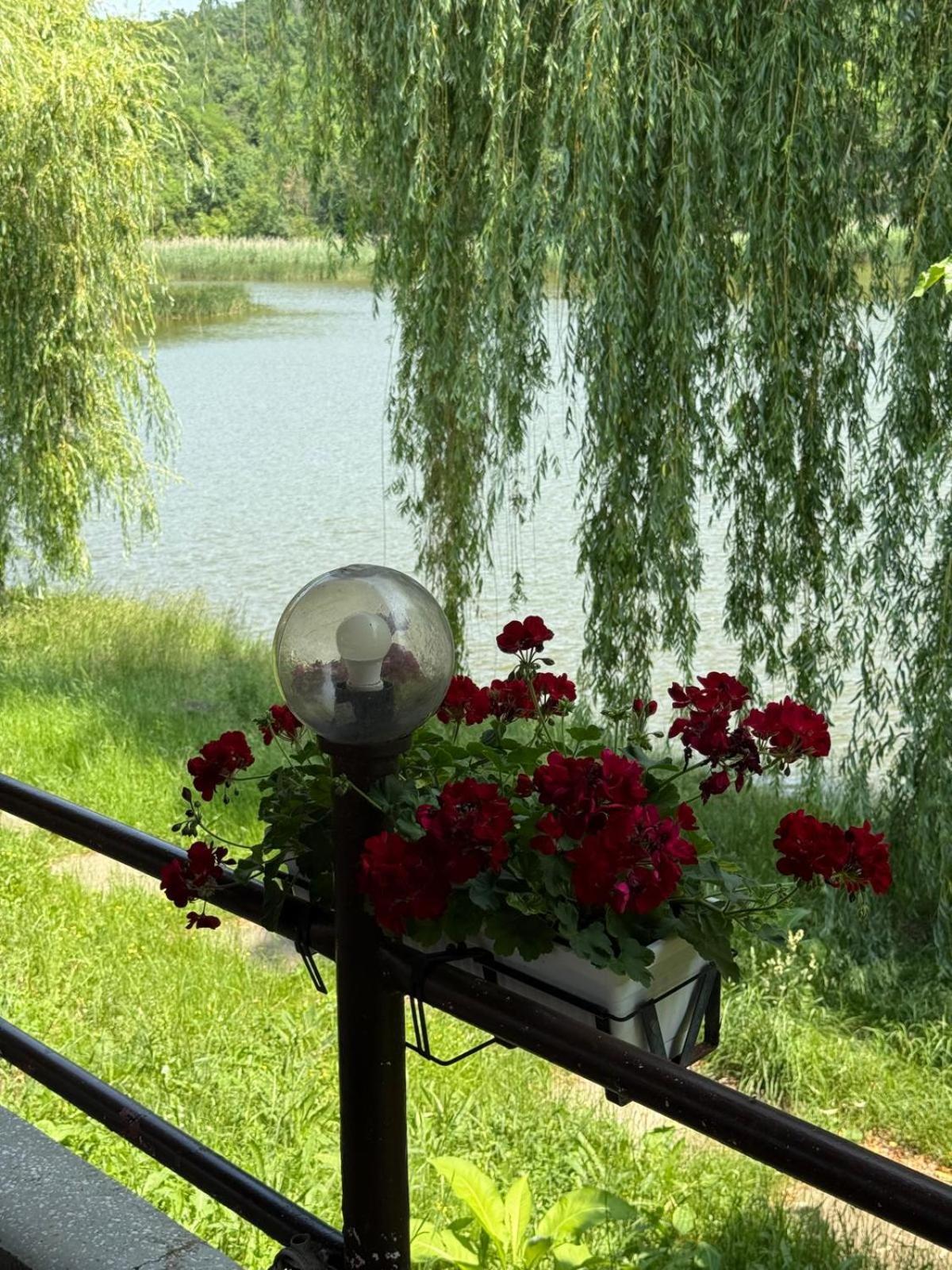 Ciric Hotel Iasi